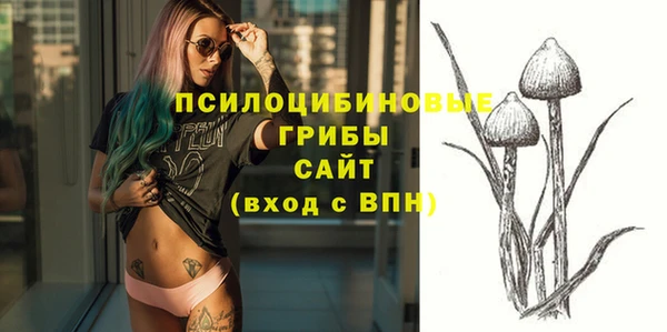 spice Приозерск