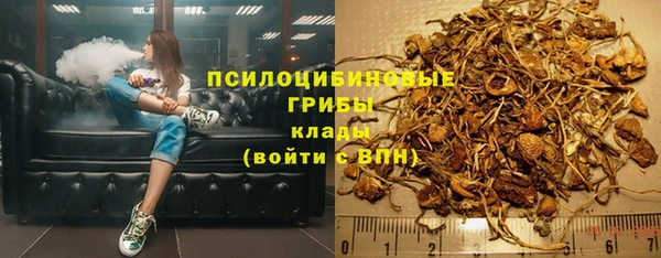 ГАЛЛЮЦИНОГЕННЫЕ ГРИБЫ Беломорск