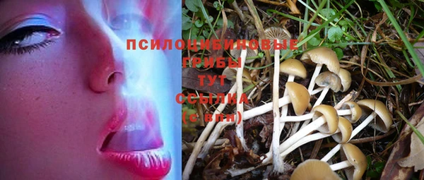 spice Приозерск