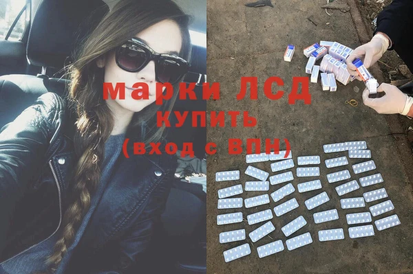 ГАЛЛЮЦИНОГЕННЫЕ ГРИБЫ Беломорск
