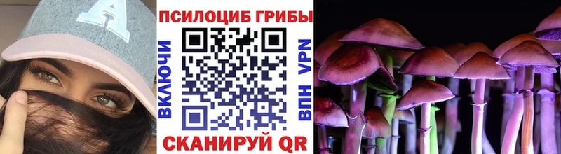 Псилоцибиновые грибы Cubensis  купить наркотики сайты  Каменка 